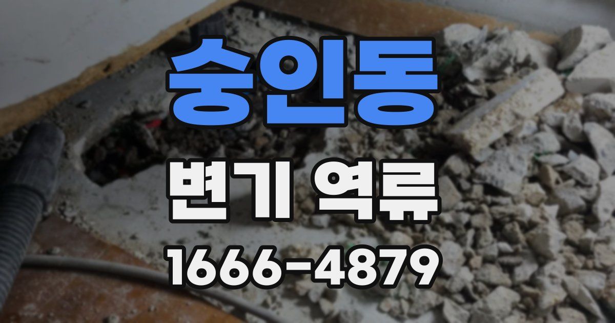 숭인동 변기 역류