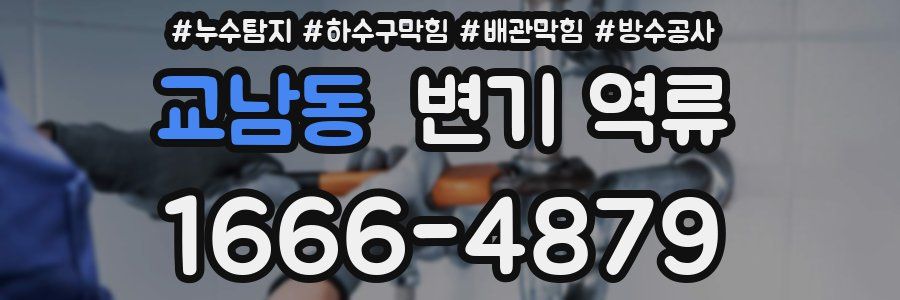 교남동 변기 역류