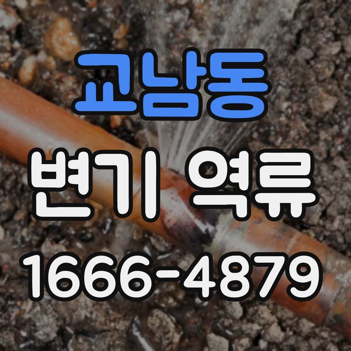 교남동 변기 역류