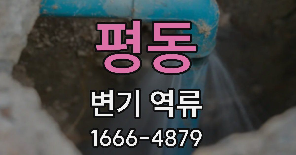 평동 변기 역류