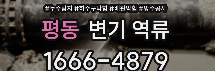 평동 변기 역류