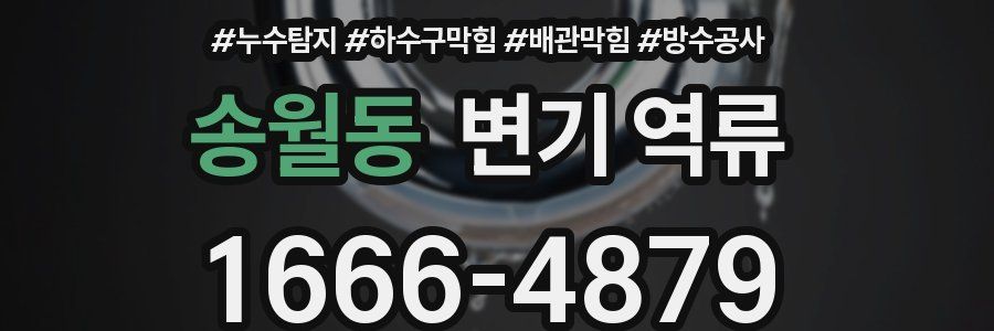 송월동 변기 역류