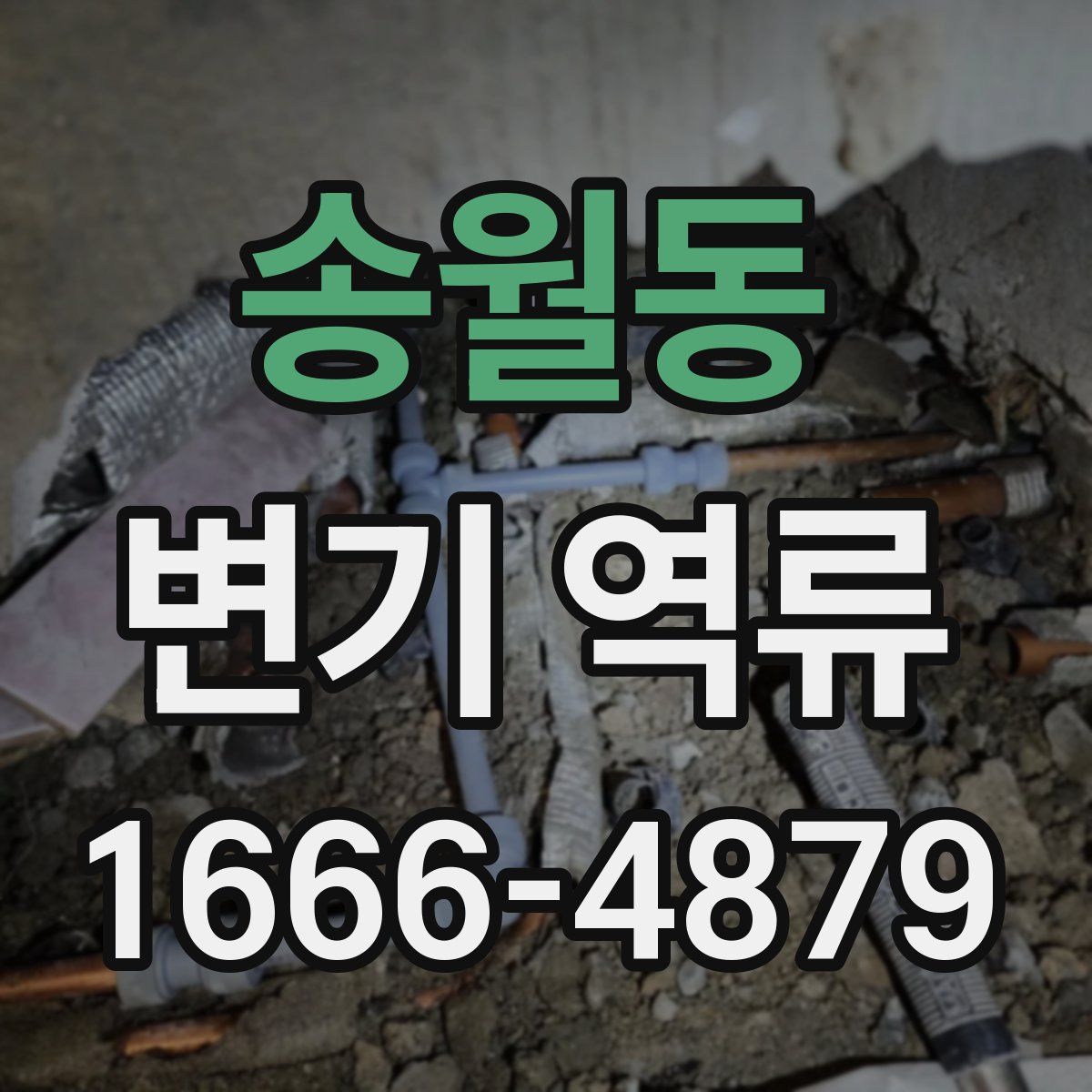 송월동 변기 역류