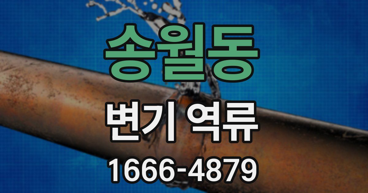 송월동 변기 역류