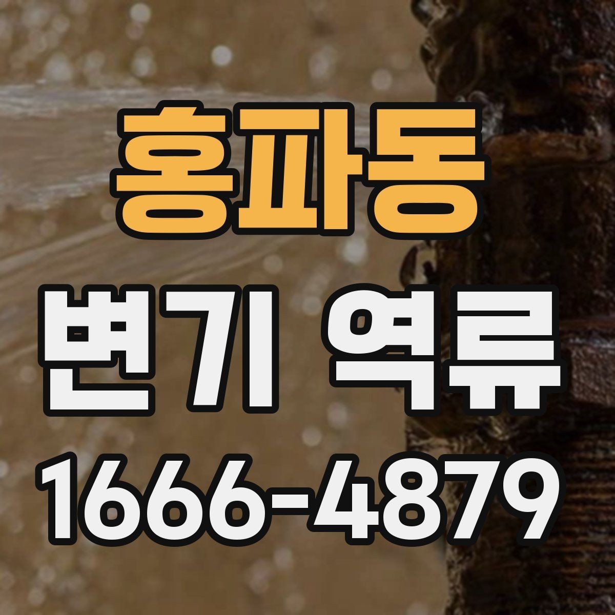 홍파동 변기 역류 배수 라인 문제를 의심해야 하는 상황
