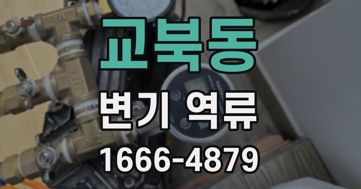 교북동 변기 역류