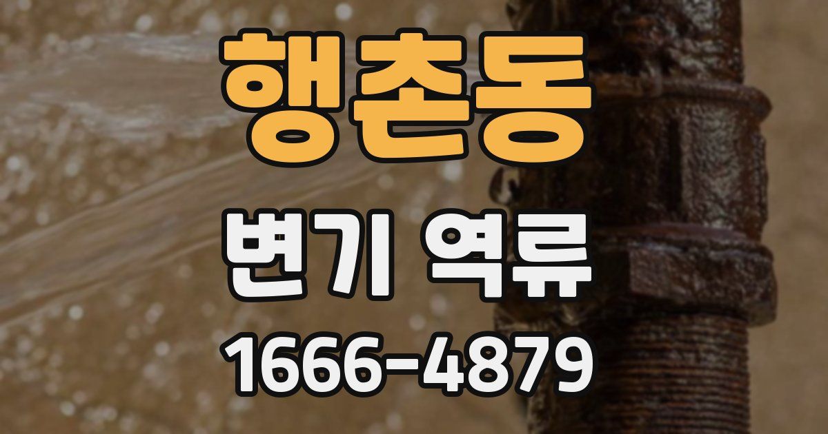 행촌동 변기 역류