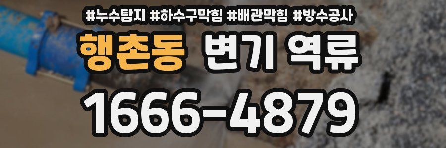 행촌동 변기 역류