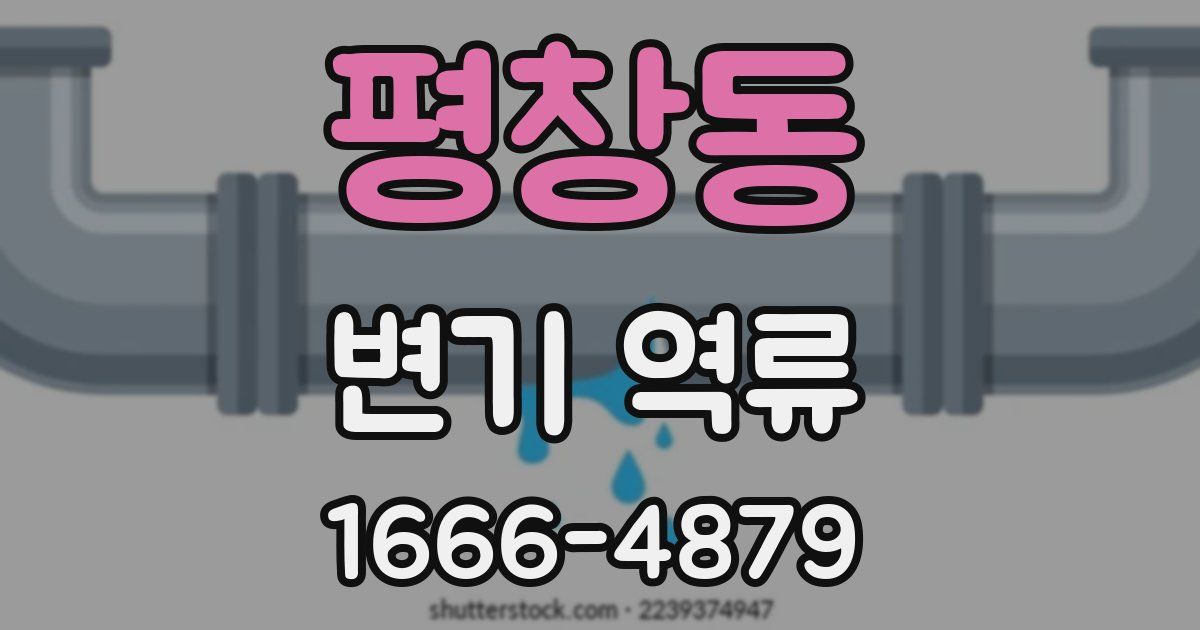 평창동 변기 역류
