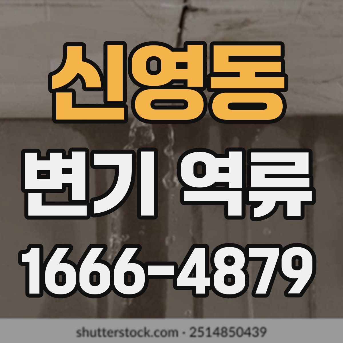 신영동 변기 역류