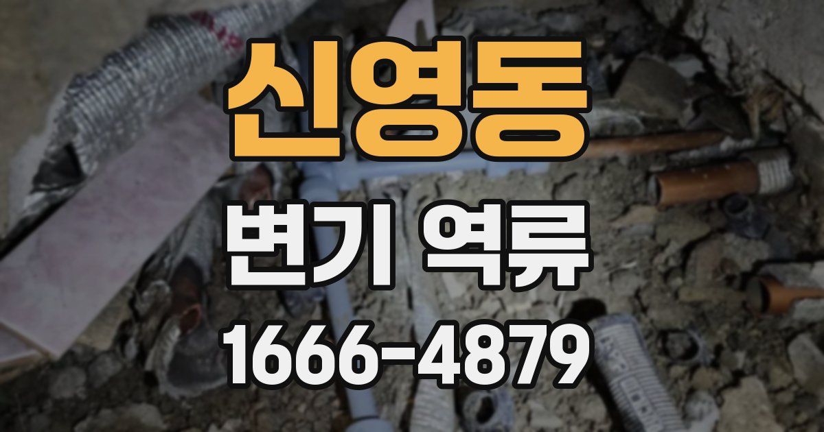 신영동 변기 역류