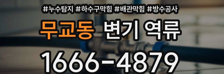 무교동 변기 역류