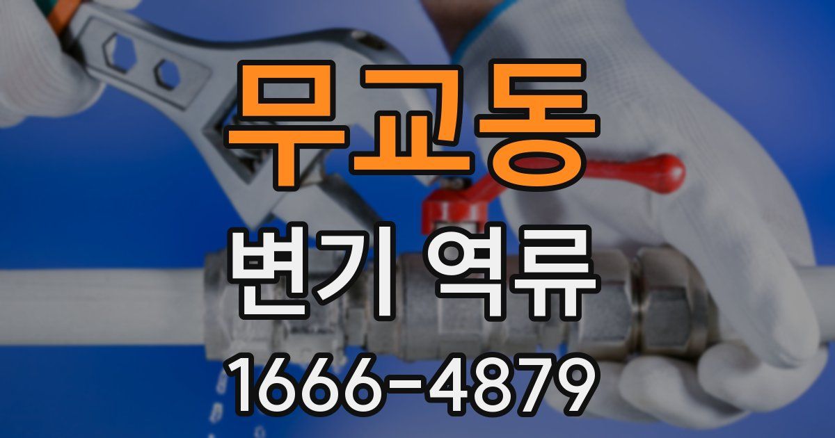 무교동 변기 역류