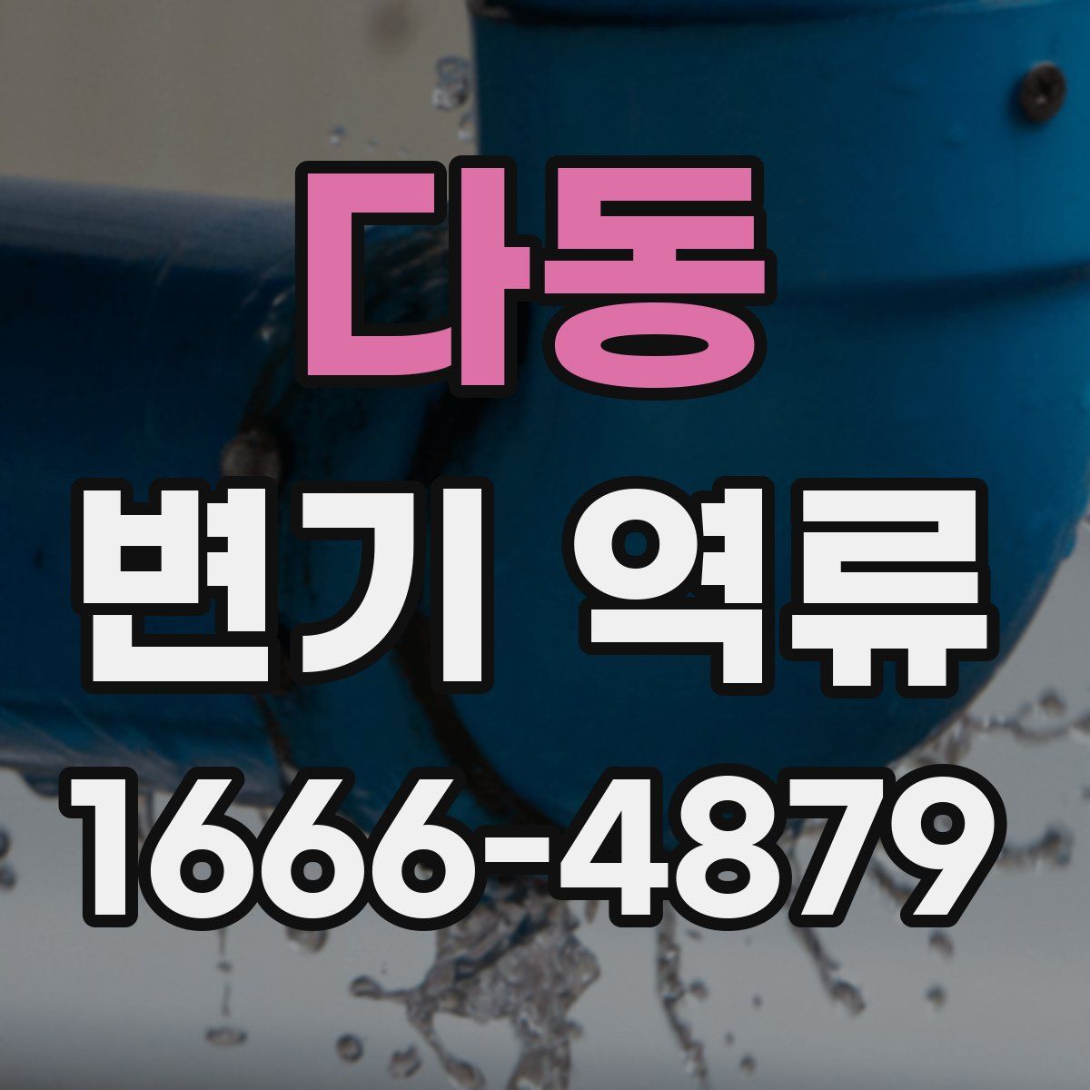 다동 변기 역류