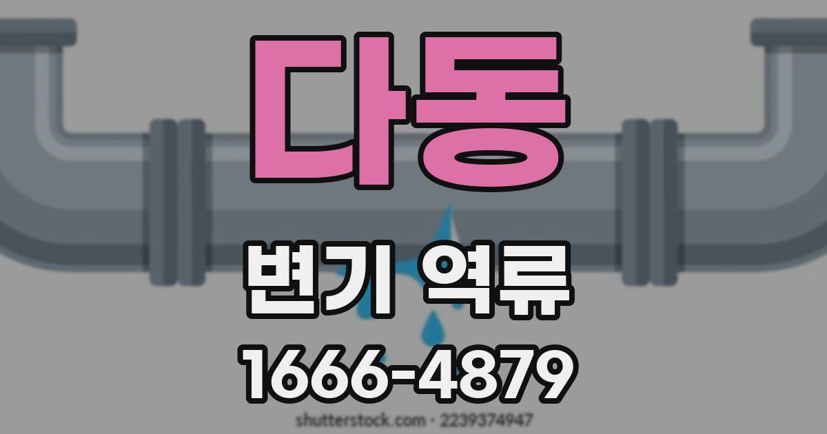 다동 변기 역류