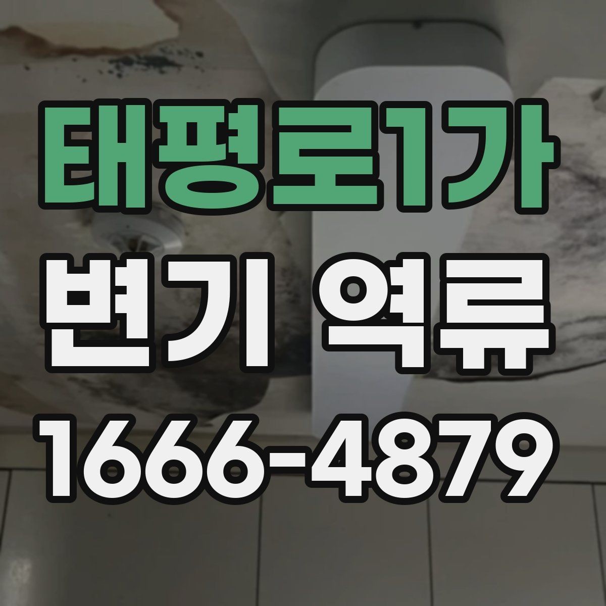 태평로1가 변기 역류 발생 시 배수 이상을 확인하는 법