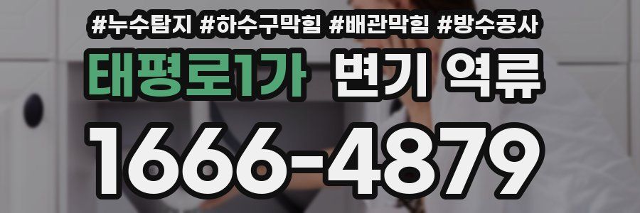 태평로1가 변기 역류