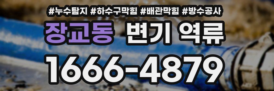 장교동 변기 역류