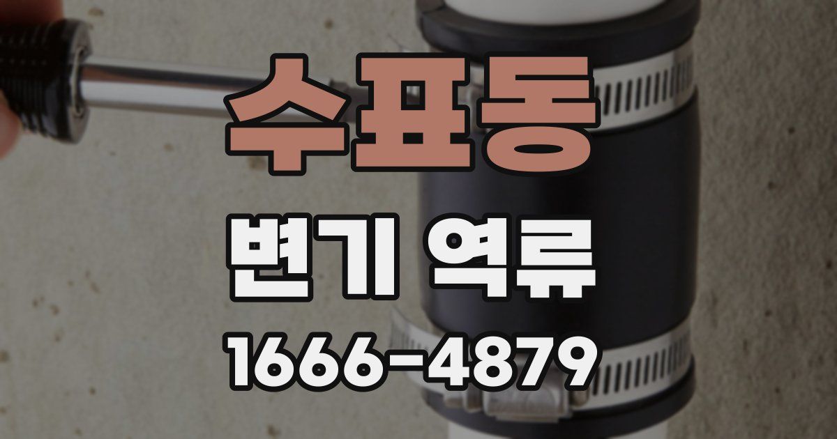 수표동 변기 역류