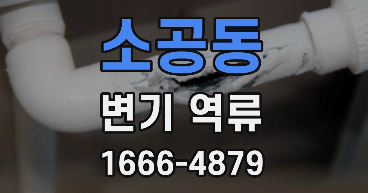 소공동 변기 역류