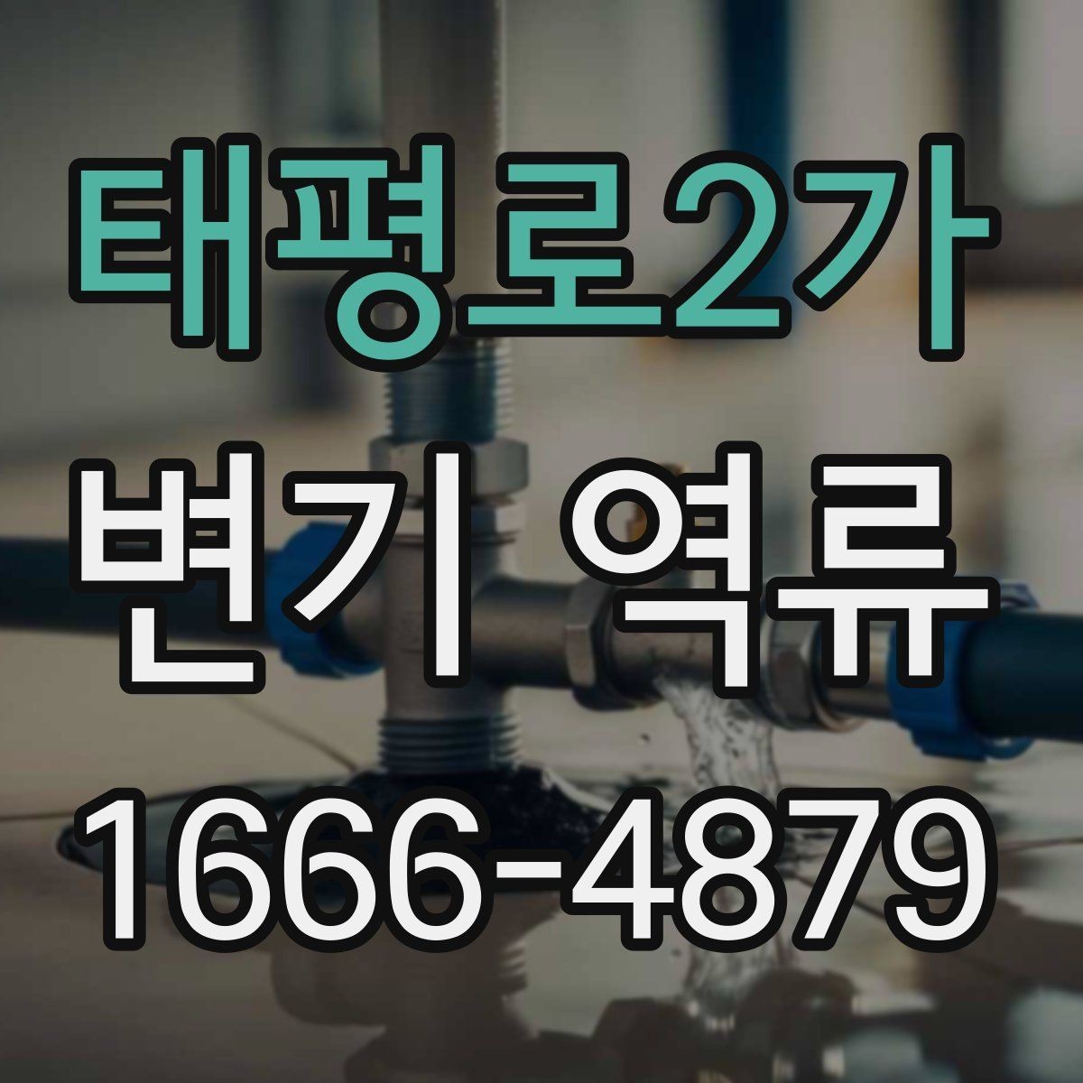 태평로2가 변기 역류 수리 비용을 줄이기 위한 확인 순서
