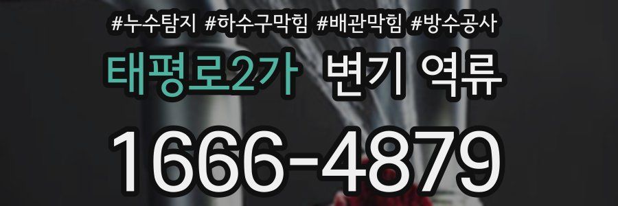태평로2가 변기 역류