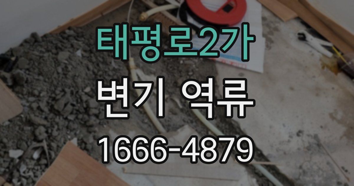 태평로2가 변기 역류