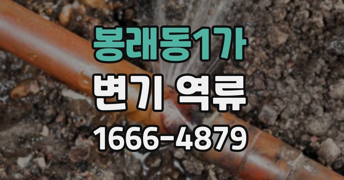 봉래동1가 변기 역류