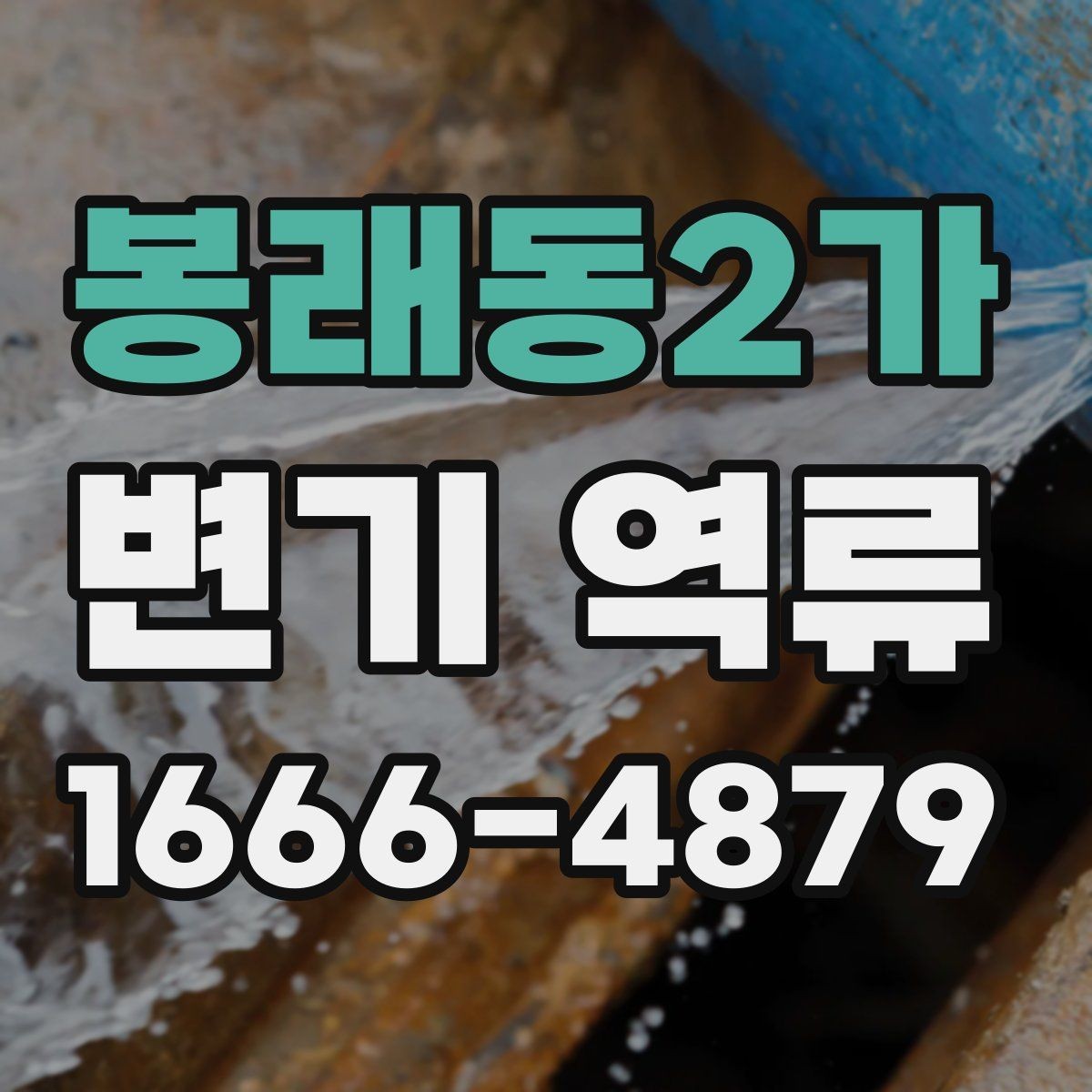 봉래동2가 변기 역류 냄새까지 동반되면 의심할 점
