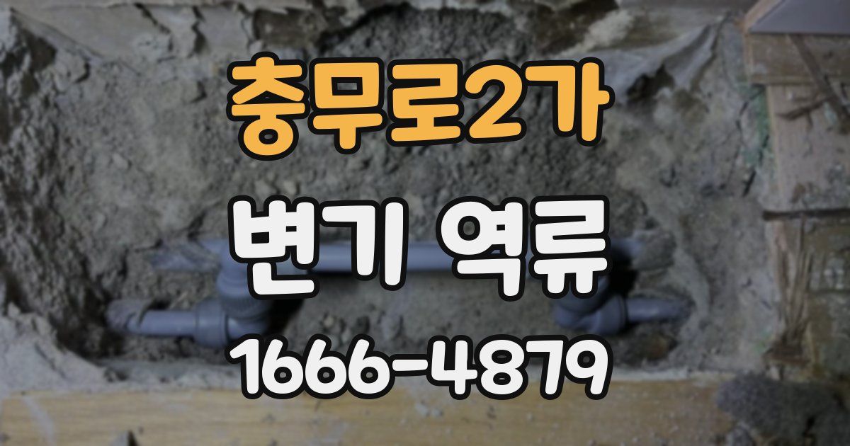 충무로2가 변기 역류
