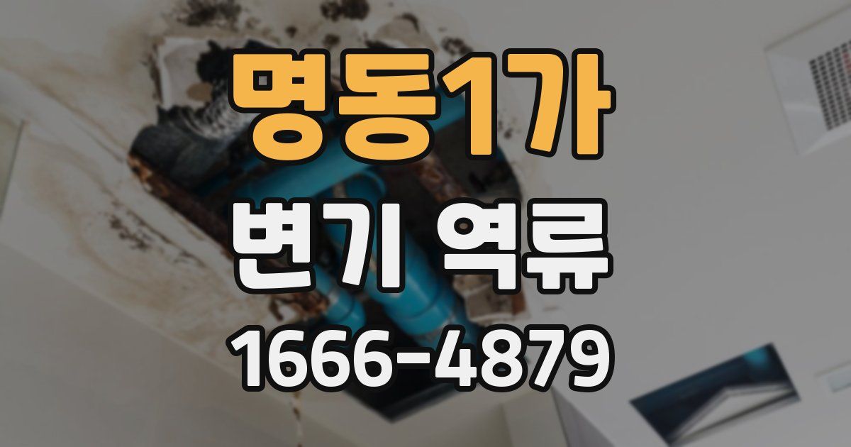 명동1가 변기 역류