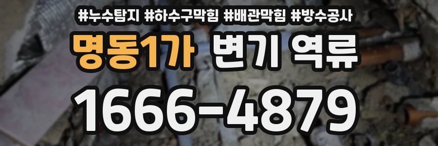 명동1가 변기 역류