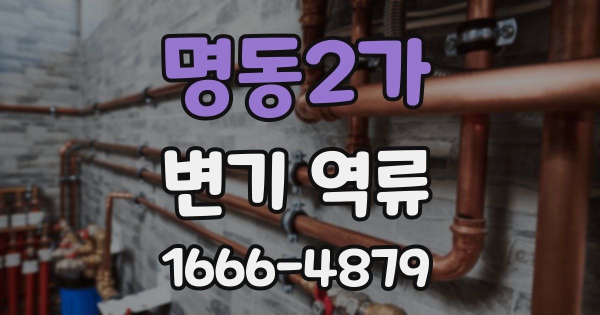 명동2가 변기 역류