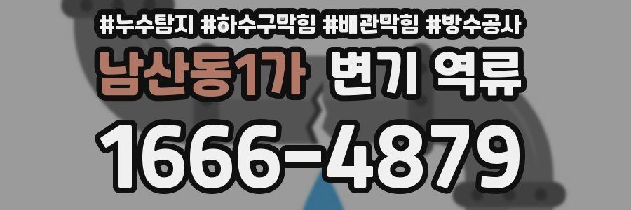 남산동1가 변기 역류