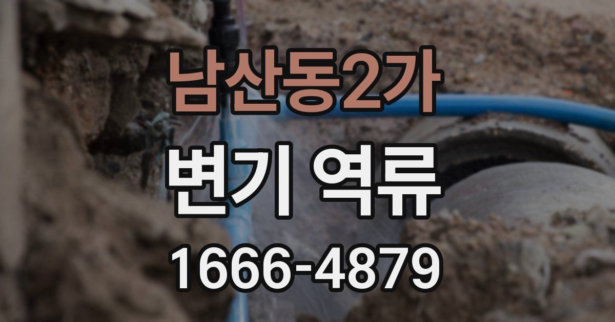 남산동2가 변기 역류
