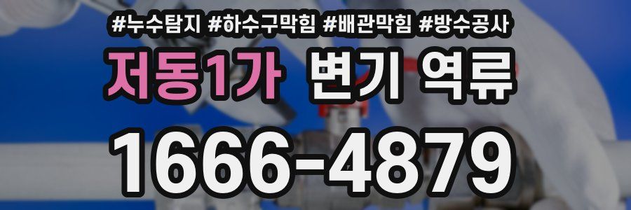 저동1가 변기 역류