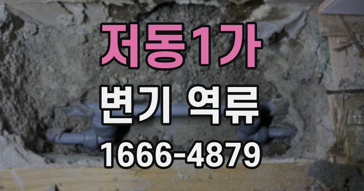 저동1가 변기 역류