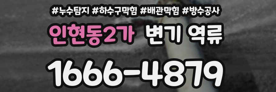 인현동2가 변기 역류