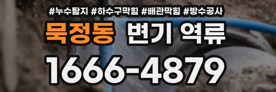 묵정동 변기 역류
