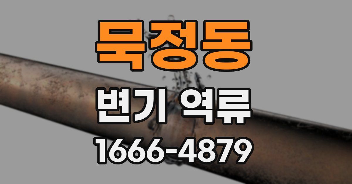 묵정동 변기 역류