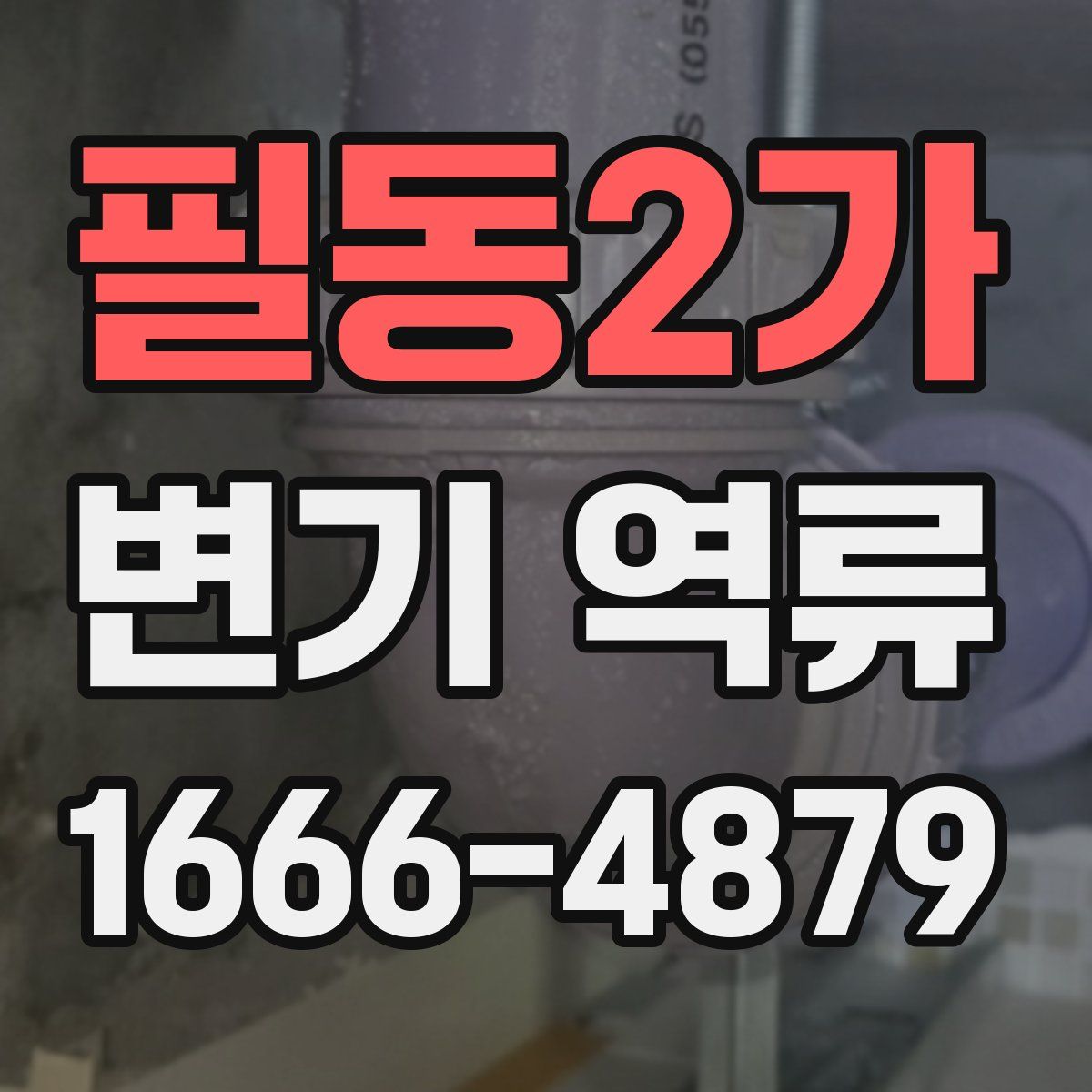 필동2가 변기 역류