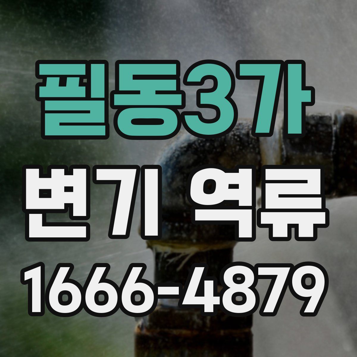 필동3가 변기 역류