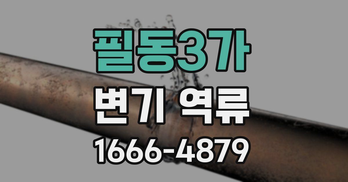 필동3가 변기 역류