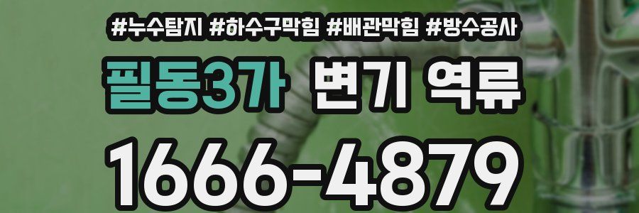 필동3가 변기 역류