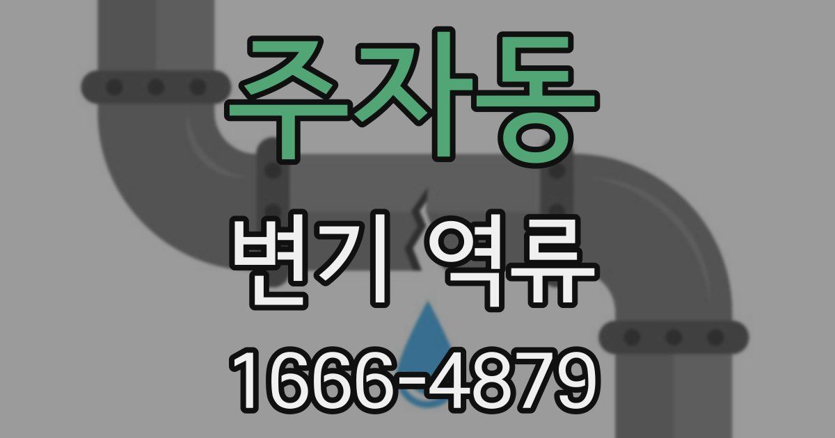 주자동 변기 역류