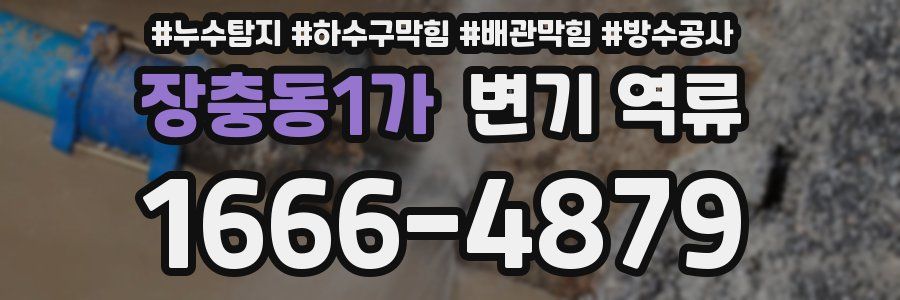 장충동1가 변기 역류