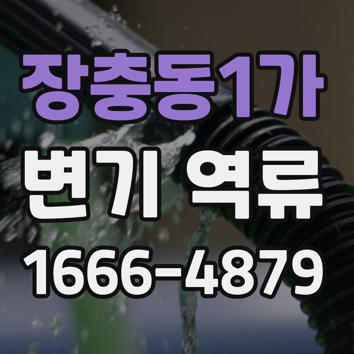장충동1가 변기 역류