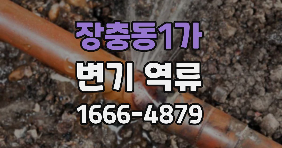 장충동1가 변기 역류