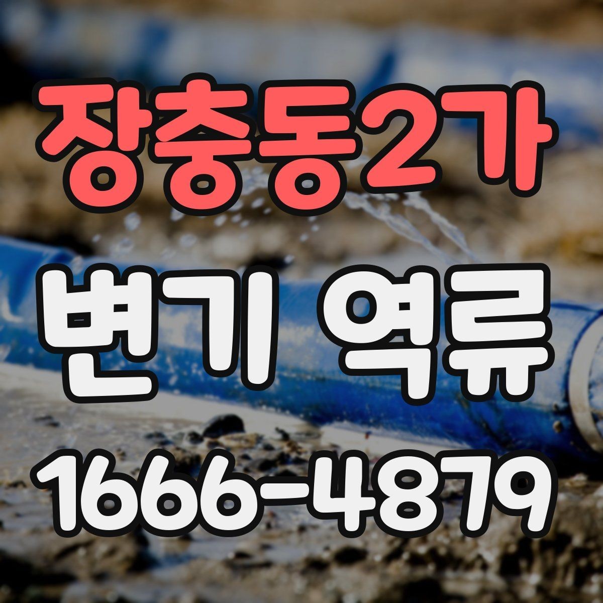 장충동2가 변기 역류 상황에서 전문가가 보는 부분