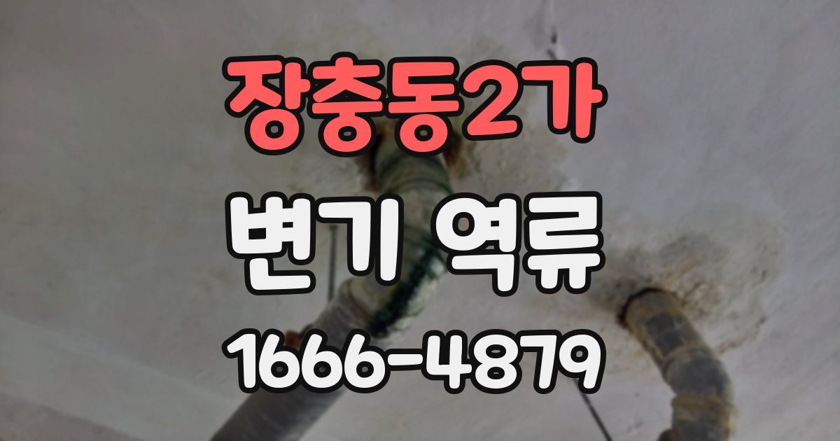장충동2가 변기 역류